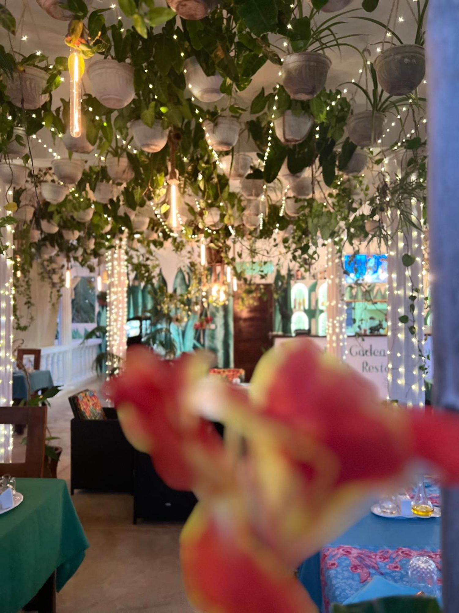 Gadea Boutique Hotel& Gadea Garden Italian Restaurant (Adults Only) Джамбиани Екстериор снимка