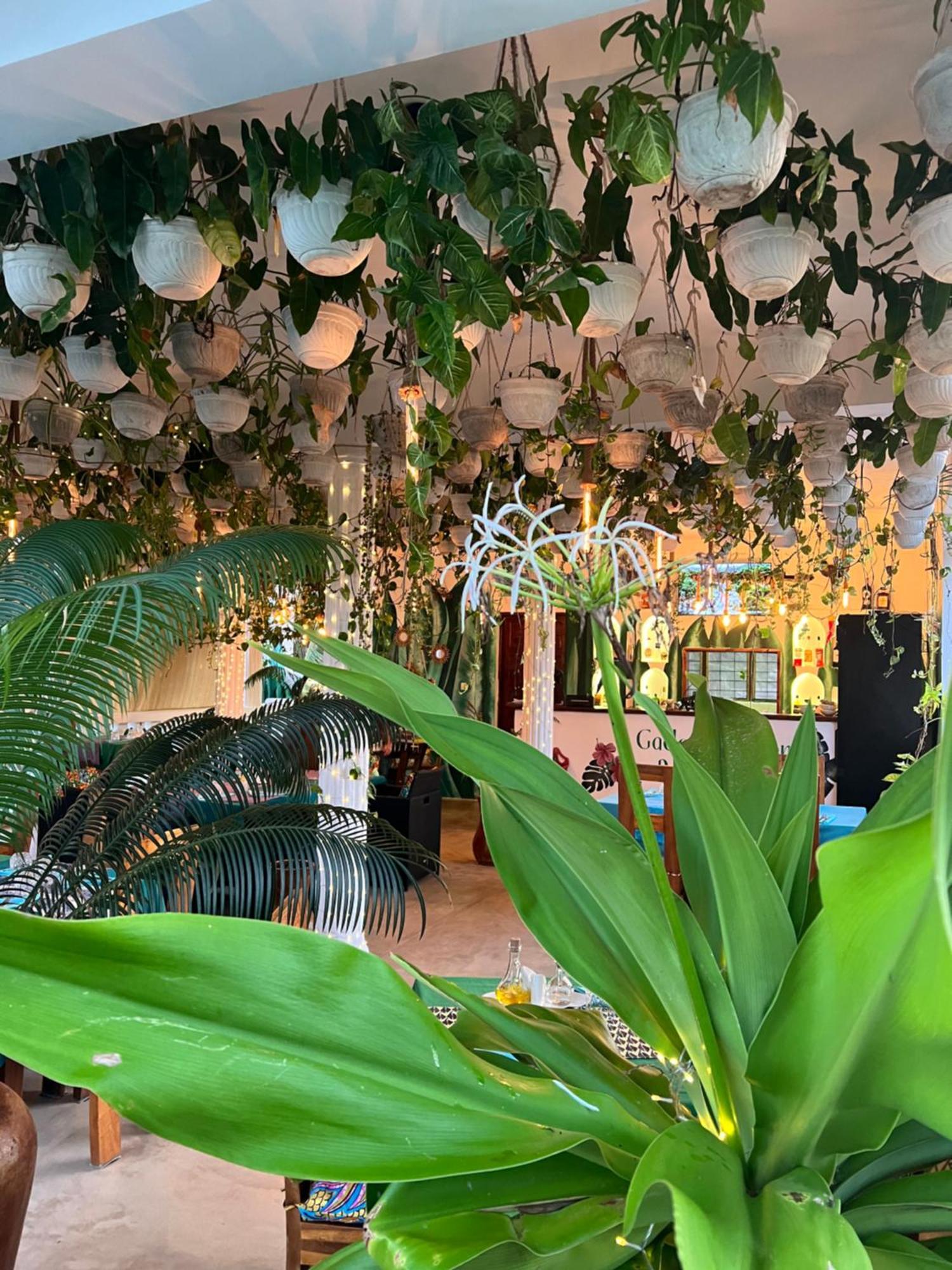 Gadea Boutique Hotel& Gadea Garden Italian Restaurant (Adults Only) Джамбиани Екстериор снимка